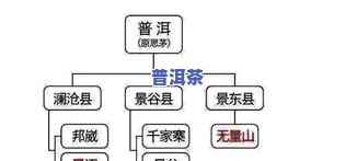 探究冰岛茶的特别形状及其特征