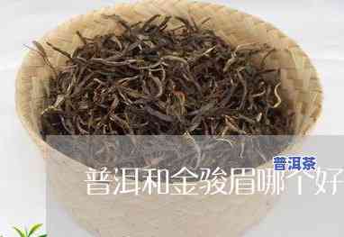 冬天喝金骏眉和普洱茶-冬天喝金骏眉和普洱茶哪个好