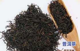 冬天喝金骏眉和普洱茶-冬天喝金骏眉和普洱茶哪个好