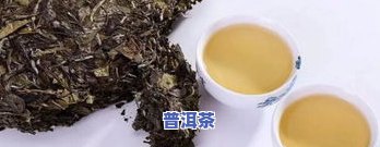 八马茶业陈皮白茶，品味陈皮白茶的清香，探索八马茶业的独特魅力