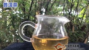 2007年冰岛古树茶珍藏品，珍藏品：2007年冰岛古树茶，香气四溢的自然馈赠