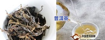 普洱茶中的黑条是什么-普洱茶中的黑条是什么茶