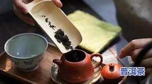 吉普号普洱茶是什么档次，探究吉普号普洱茶的品质档次，了解其独特之处