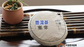 吉普号普洱茶是什么档次，探究吉普号普洱茶的品质档次，了解其独特之处