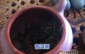 麻黑普洱茶口感特点解析：属于什么档次？