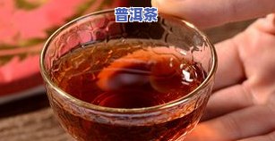 冰岛古树茶哪个牌子好，探究冰岛古树茶之选，哪个更胜一筹？