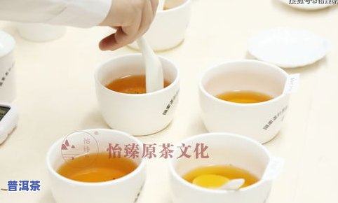 白茶与普洱茶：哪个更值得收藏？