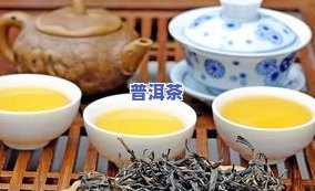 古树茶与普洱茶-古树茶与普洱茶的区别