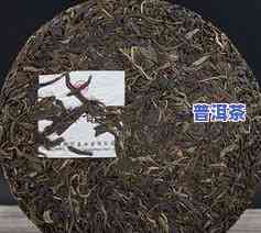 布朗普洱茶价格-布朗普洱茶价格357克价格