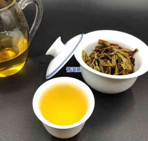 广州人去云南做普洱茶好吗-广州人去云南做普洱茶好吗