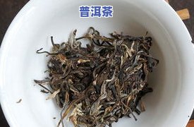 老班章茶农，揭示老班章茶农：探寻优质普洱茶的源头