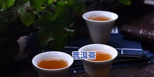 老班章茶农，揭示老班章茶农：探寻优质普洱茶的源头