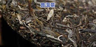 普洱茶2821，探索普洱茶的魅力：2821年的历史与文化