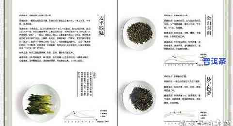 几块钱的普洱茶能喝吗？探讨其品质与口感