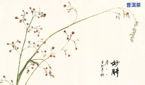 勐乐山普洱茶幸福茶会-勐乐山普洱茶幸福茶会上市吗