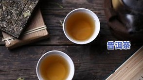 普洱茶东北储存方法视频大全，详解普洱茶东北储存：视频教程大汇总