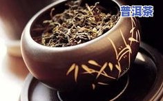 探索普洱茶名山头：了解普洱茶的魅力源头