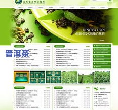 什么是普洱茶野生茶类的特征，探究普洱茶野生茶类的特性与特征