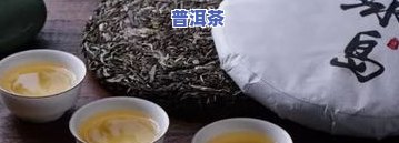 公证普洱茶试喝视频-公弄普洱茶