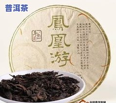 普洱茶熟茶和黑茶哪个好-普洱茶熟茶和黑茶哪个好喝