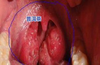 怎样品鉴普洱茶的香味呢-怎样品鉴普洱茶的香味呢视频