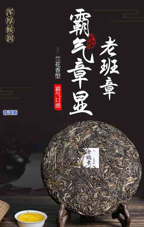 白岩山茶叶是什么茶种，探秘茶文化：了解白岩山茶叶的品种和特点