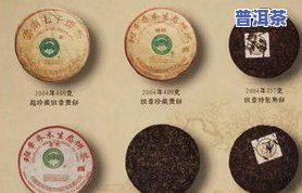 喜欢的普洱茶是哪种茶？探究其品种与分类