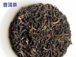 广东普洱茶：产地与特点全面解析