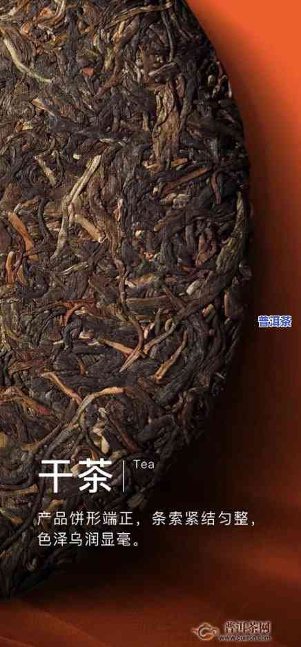 大益普洱茶经典唛号茶-大益号普洱茶怎么样