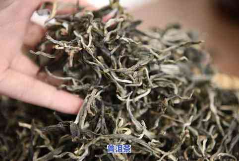 探索冰岛古树熟茶的特别口感及其功效与作用