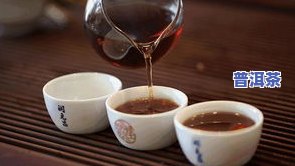 金奖普洱茶有哪些，探寻茶香之旅：金奖普洱茶的种类与特点