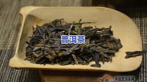 普洱茶冰岛图片-普洱茶冰岛图片大全