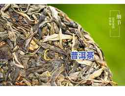 易武古树普洱茶生茶2013价格，2013年易武古树普洱茶生茶市场价格分析