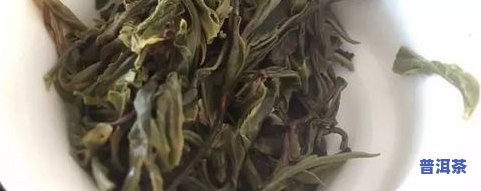 冰岛普洱茶品鉴：探索优质普洱茶的世界