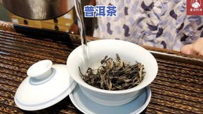 熟普洱饼茶的泡法及方法大全，全面解析熟普洱饼茶的冲泡技巧与步骤