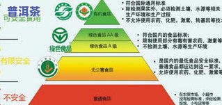 普洱茶冰岛价格，深度解析：普洱茶冰岛价格的背后故事与市场趋势