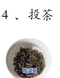 冲普洱茶手法图解大全视频-冲普洱茶手法图解大全视频教程