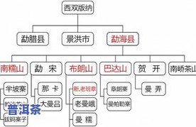 冰岛普洱茶成分分析，深入解析：冰岛普洱茶的成分构成与特点