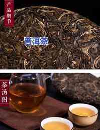 十大古树普洱茶排行名字是什么，揭秘十大古树普洱茶：品鉴历史韵味与独特口感