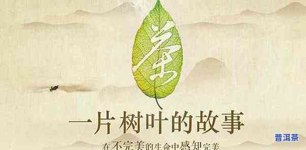 茶叶文化，探索茶叶文化的魅力：从历史到现代的全面解析