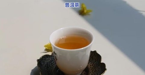 云南普洱茶小户赛百科，探索云南普洱茶的魅力：小户赛百科全书