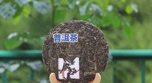 冰岛普洱茶更好的产地，揭秘：冰岛普洱茶的更佳产地在哪里？