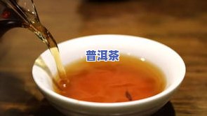 老班章和大益普洱茶哪个好，老班章 vs 大益普洱茶：一场口感与价值的较量