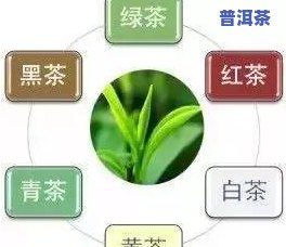 茶叶交易平台有哪些？全面解析各大平台及公司