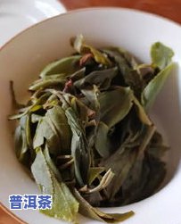 普洱茶冰岛直播-普洱茶 冰岛