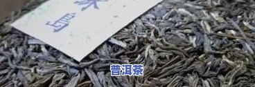 老班章在普洱茶里的地位-老班章是更好的普洱吗