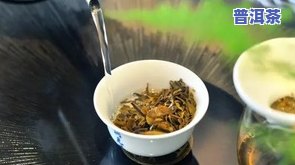 普洱茶的冲泡过程图片高清大图