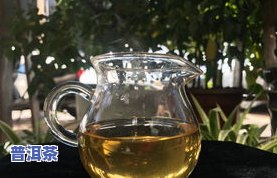 磨砺普洱茶-磨烈普洱茶