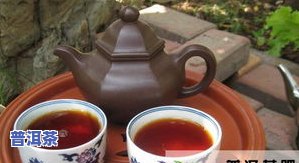 古代的名茶普洱茶是什么，探秘古代名茶：普洱茶的历史与特点