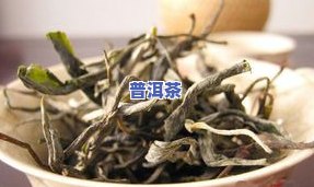 海南普洱茶多少钱一斤？最新市场价格及购买指南